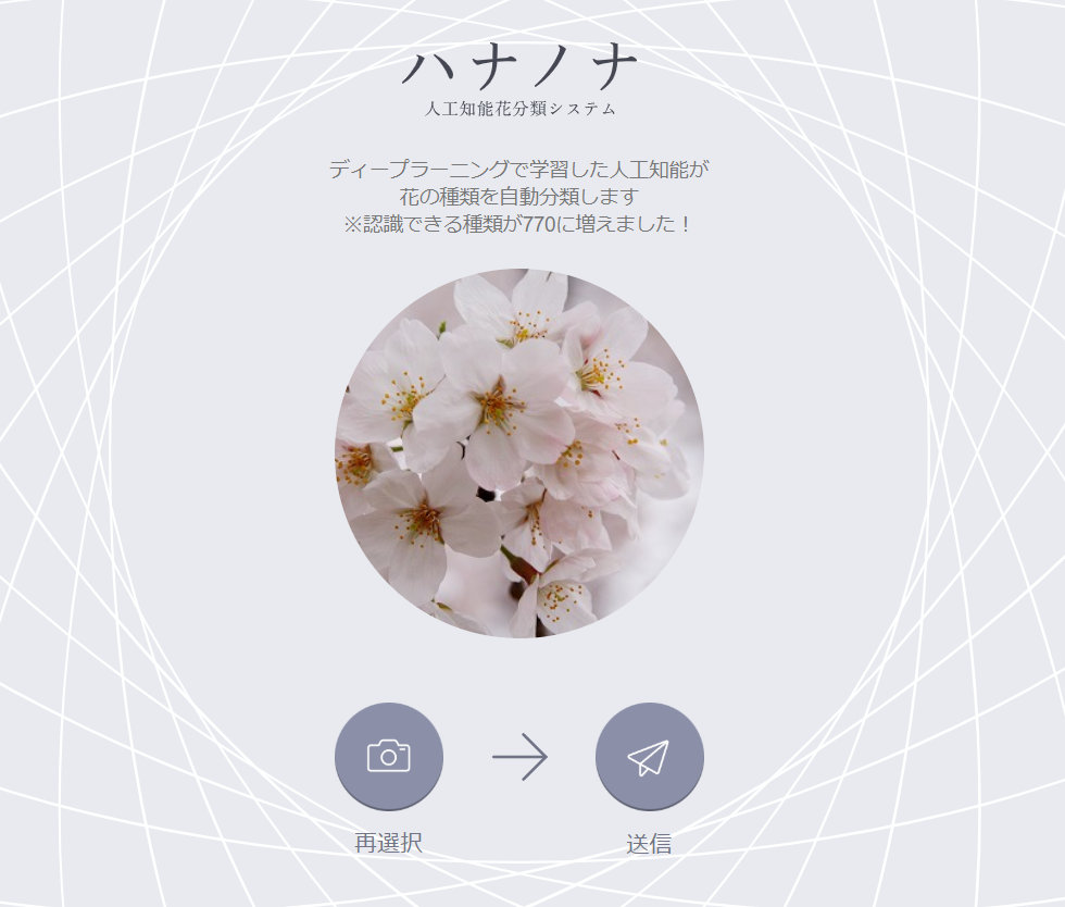 花の名前を教えてくれる無料アプリ ハナノナ をレビュー Android版はある シキログ