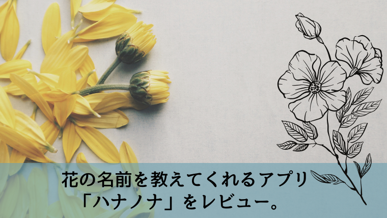 花の名前を教えてくれる無料アプリ ハナノナ をレビュー Android版はある シキログ
